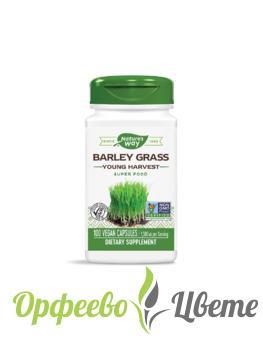 ХРАНИТЕЛНИ ДОБАВКИ Алкализиращи Barley Grass/ Ечемик (млади стръкове) 500 mg х 100 капсули